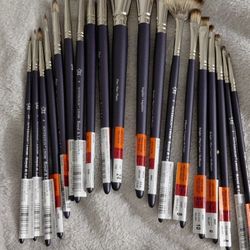 Royal & Langnickel Brushes x19