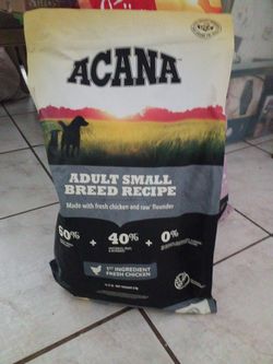 Dog Food