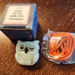 Glow In The Dark Owl Pin/pendant 