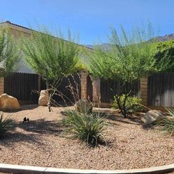 Artesian RARE California Boulders, Delivery Available!