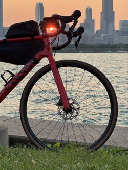 Canyon Endurace CF 7 • 2024 • Size M • Like New • Under 1500 Miles