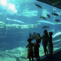 SeaWorld!!!!!and More!!!