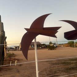 Heavy Metal Birds For Sale