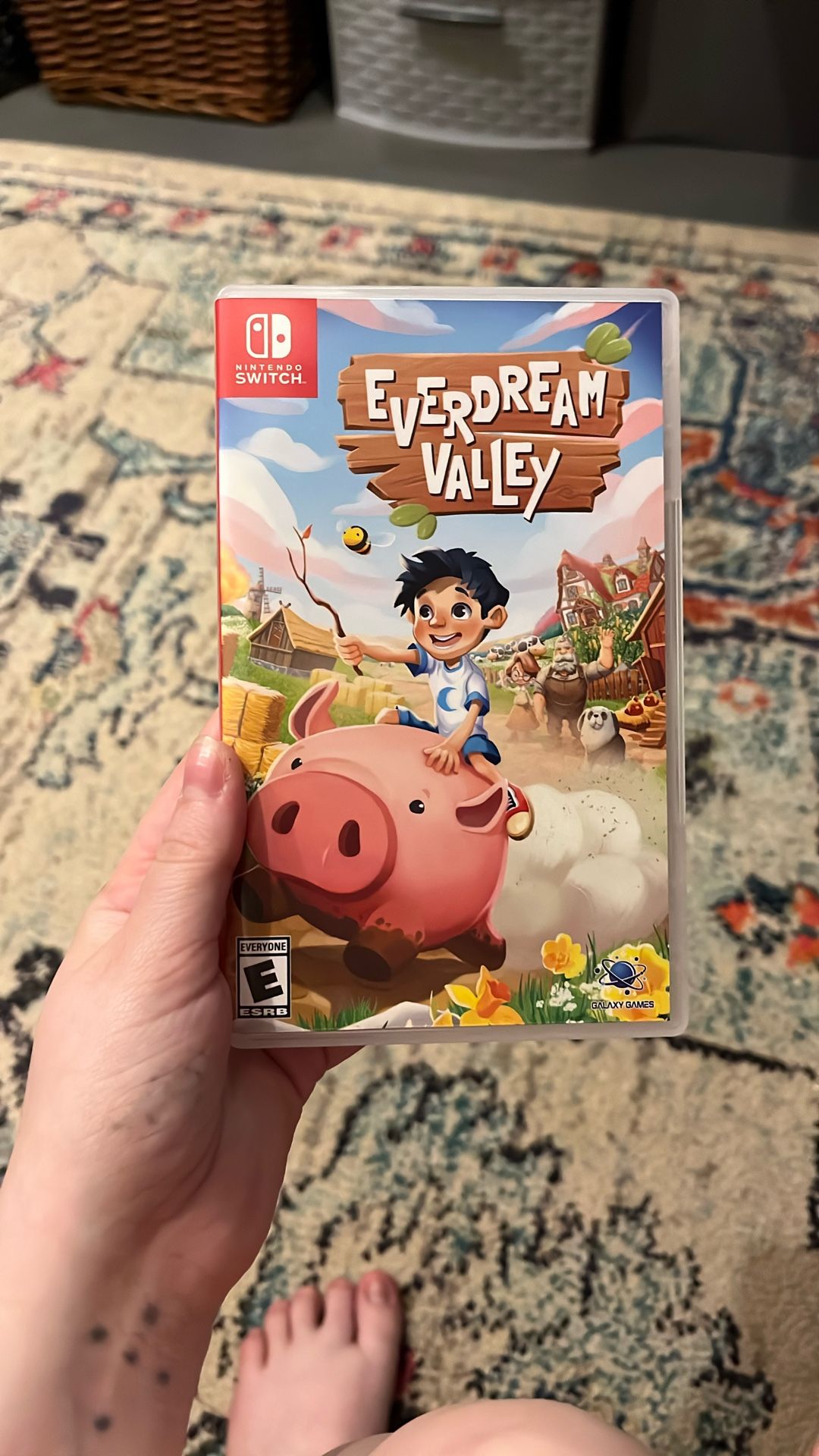 Everdream Valley game 