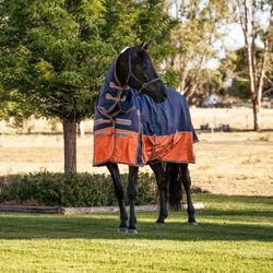 78” McAlister Quilted Horse Turnout Blanket – 300 GSM Winter Stable Rug (Blue/Orange)