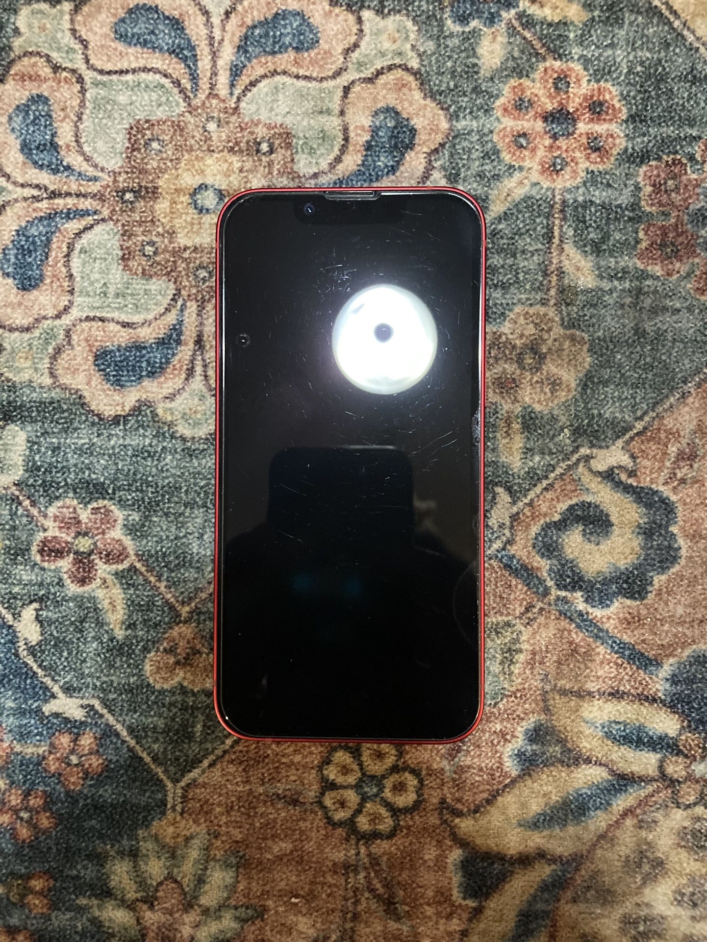iPhone 13 Mini possibly water damage 