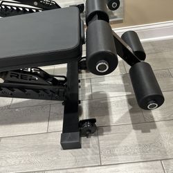 REP Bench And Dumbells