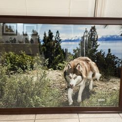 Framed Tahoe Photo Art 