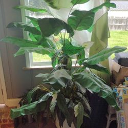 Artificial TREE