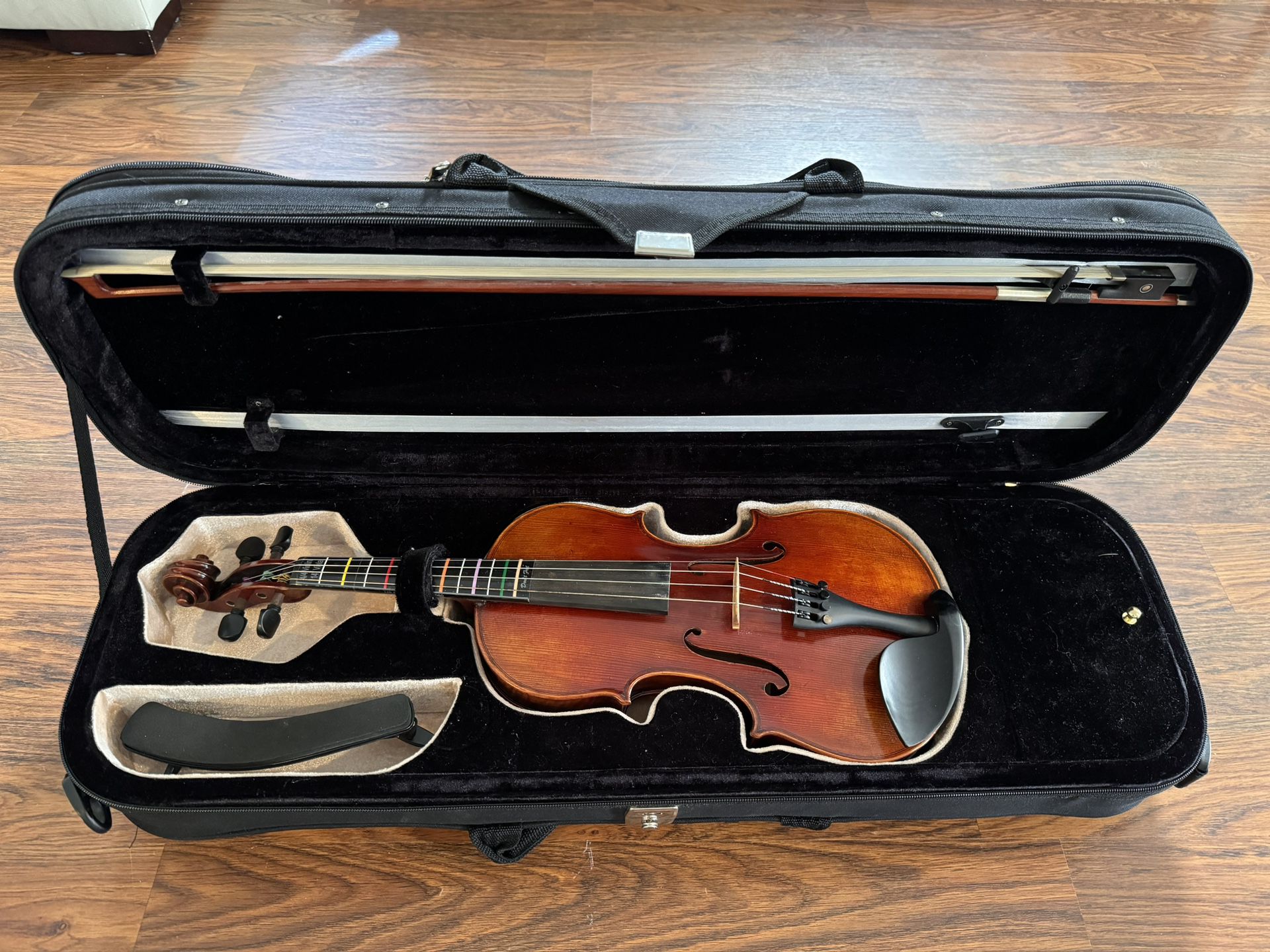 Violin And Case 