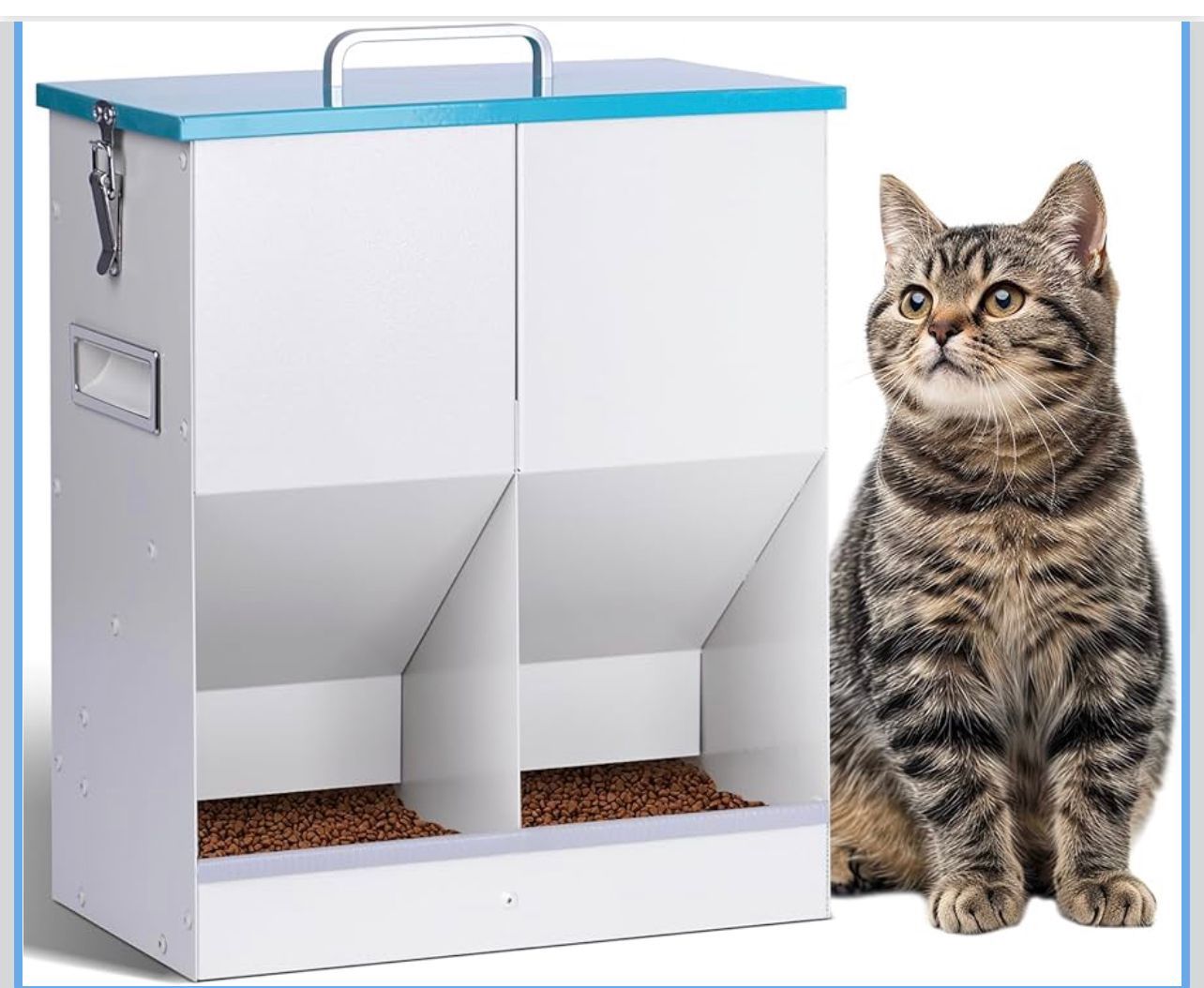 Automatic Cat Feeder for 2 Cats