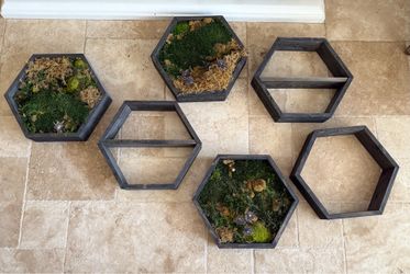 6 Hexagon wall decor