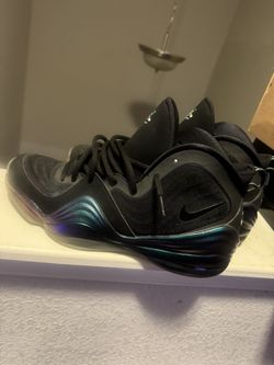 Mike Air Penny 5 Cloak