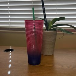Starbucks Tumbler Cup Pink