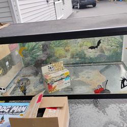40 Gallon Tank With Log And Bowl And One Light