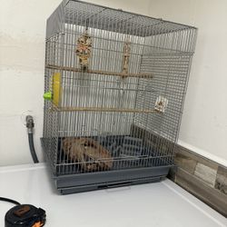 Bird Cage