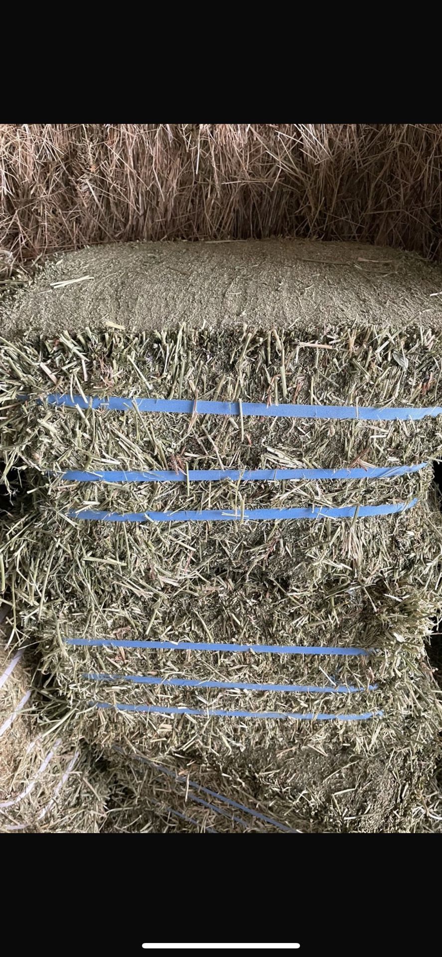 Alfalfa Compressed 