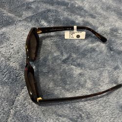 Coach Glasses