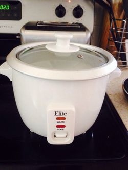 Small Elite Steamer