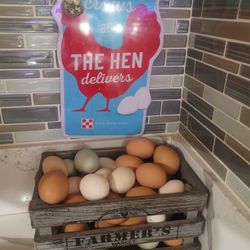 Farm FRESH Eggs FREE RANGE