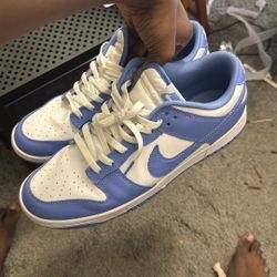 Dunks Polar Blue