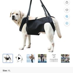 XL Dog Lift Harness 