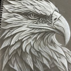 Originally Drawn Eagle 