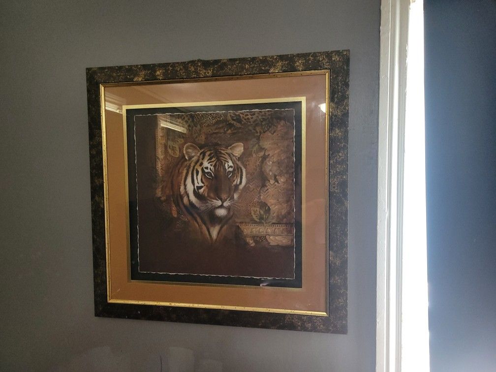 Huge Tiger Picture