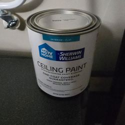 HGTV flat ceiling paint and primer 1qt