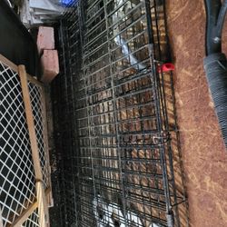 Dog Cage