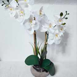 Artificial Plant