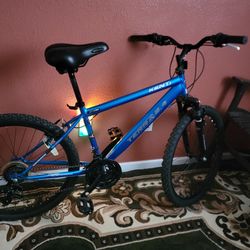 Kent Terra 2.4 With SHOCK Absorber 