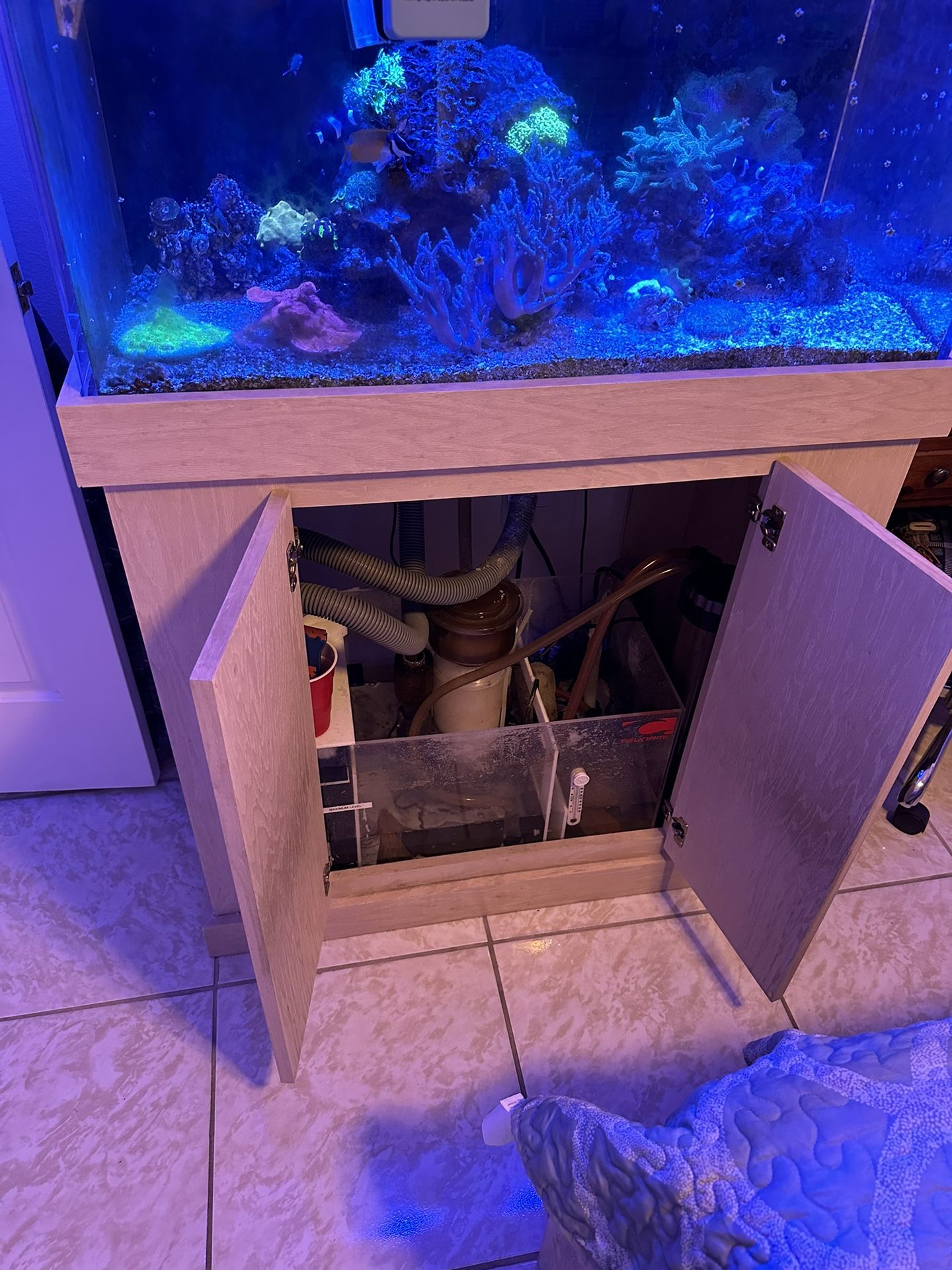 (3) 80 Gallon Acrylic Reef Ready Aquariums for Sale in Kissimmee, FL