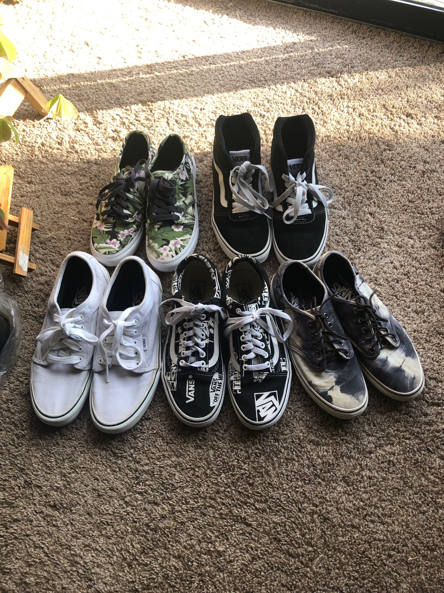 Vans shoes, location Puyallup