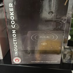 Induction Cooker