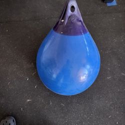 Water Punching Bag