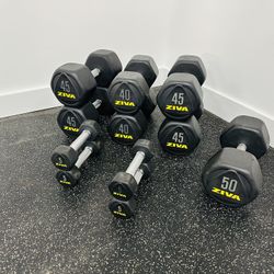 Dumbbells - Rubberized Dumbbells - Workout - Barbells