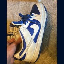 Nike Dunks 