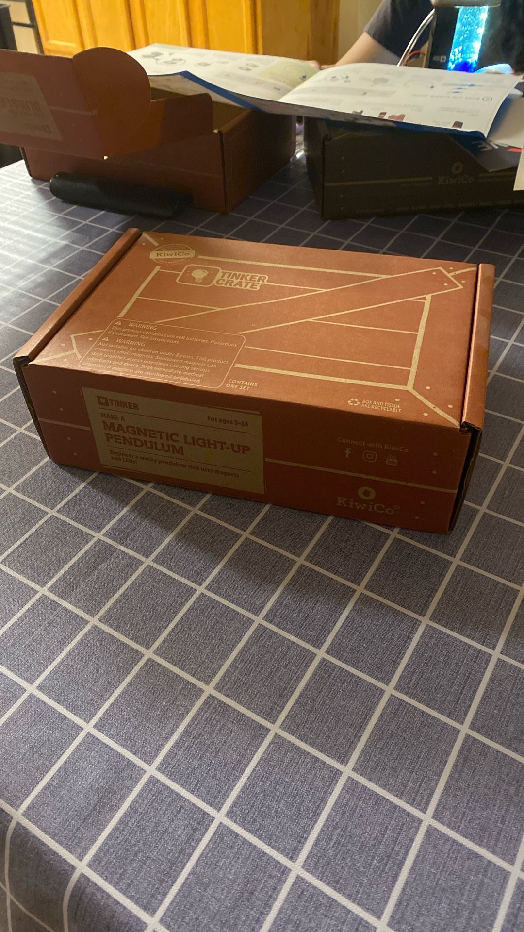 Tinker Crate Magnetic Light-Up Pendulum