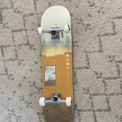 Globe skateboard