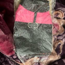 Couch Para Perra Size Kl Nuevo