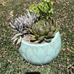 Beautiful arrangement 