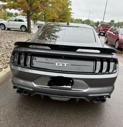 Tail Lights