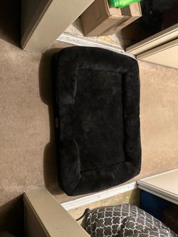 Large dog bed