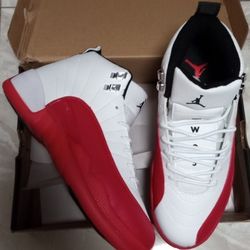 Cherry Jordan 12s