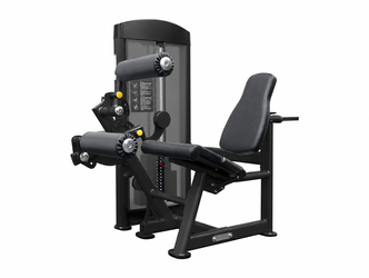 Leg Extension/Leg Curl