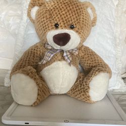 New Stuffed Teddy Bear 