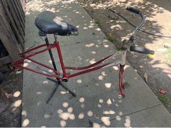 Schwinn 24