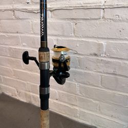 Diawa Fishing Rod & Reel