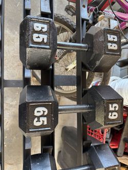 65 lb dumbbells